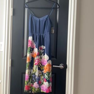 Anthropologie Dahlia dress